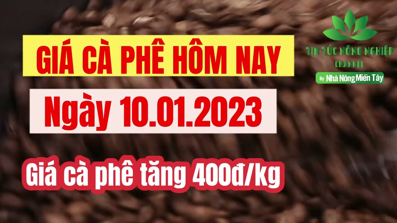 Vietnam coffee prices January 10, 2023