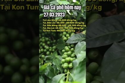 Vietnam coffee prices March 27, 2023