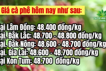 Vietnam coffee prices March 29, 2023