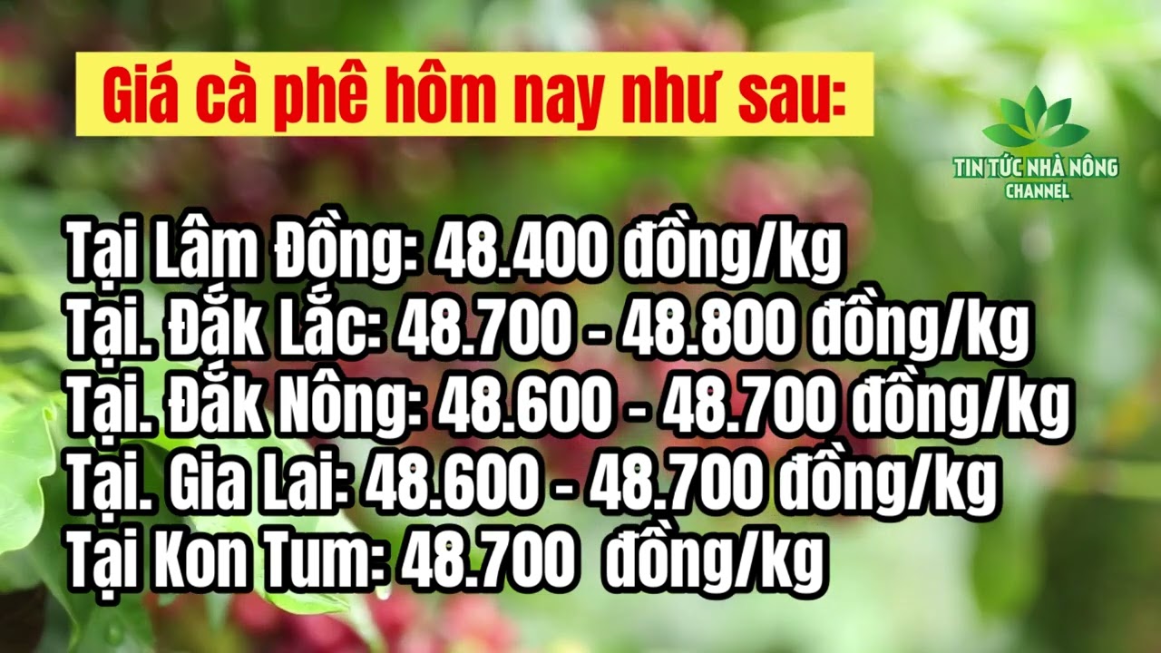 Vietnam coffee prices March 29, 2023