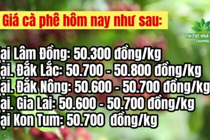 Vietnam coffee prices April 18, 2023
