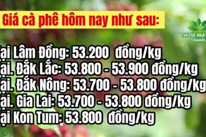 Vietnam coffee prices May 7, 2023