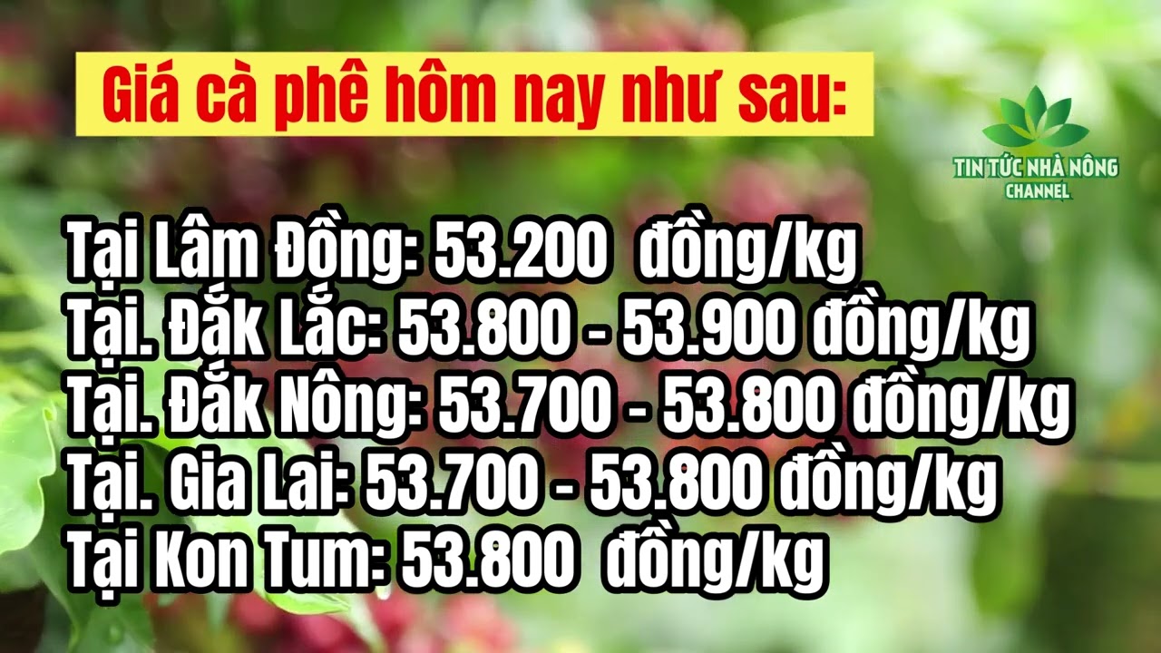 Vietnam coffee prices May 7, 2023