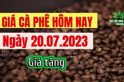 Vietnam coffee prices July 20, 2023