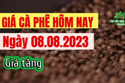 Vietnam coffee prices August 8, 2023