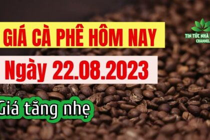 Vietnam coffee prices August 22, 2023