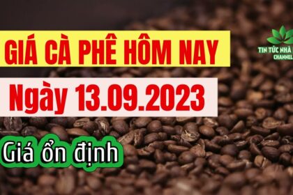 Vietnam coffee prices September 13, 2023