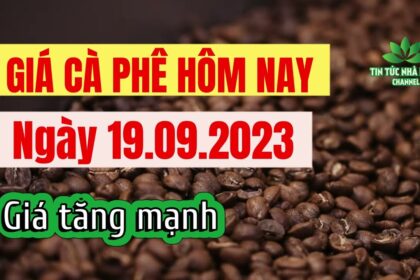 Vietnam coffee prices September 19, 2023