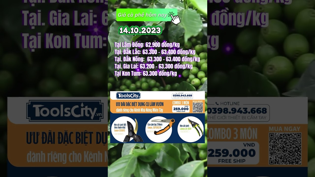 Vietnam coffee prices October 14, 2023