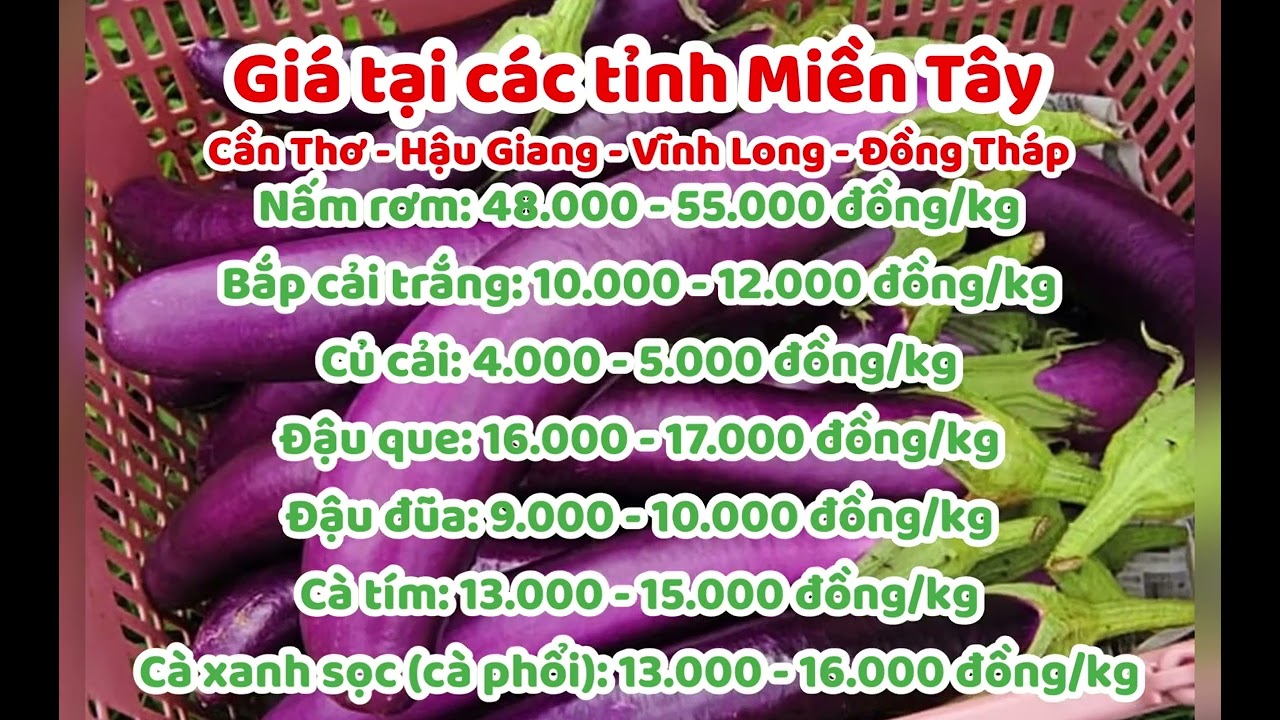 vegetables, fruits and food price December 16, 2022