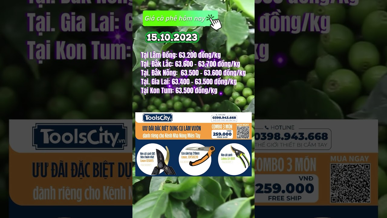 Vietnam coffee prices October 15, 2023