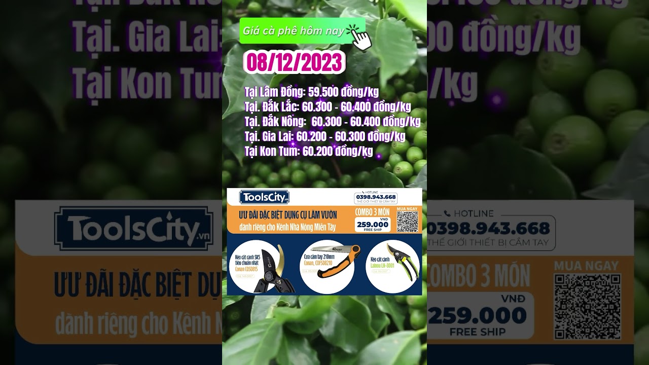 Vietnam coffee prices December 8, 2023