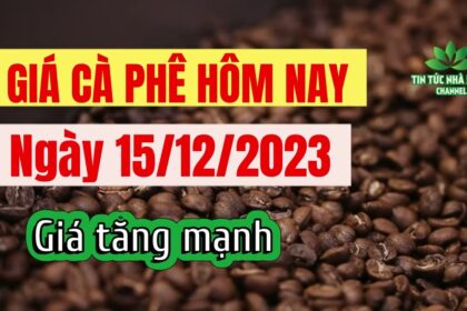 Vietnam coffee prices December 15, 2023