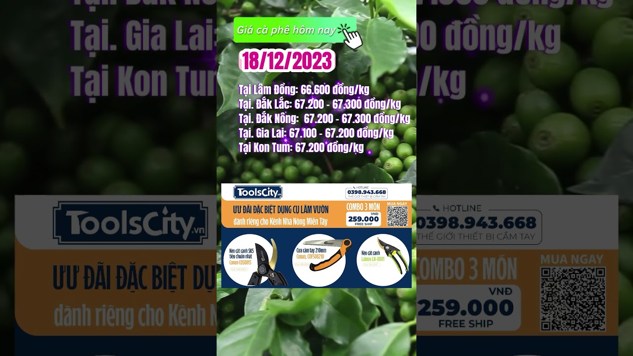 Vietnam coffee prices December 18, 2023