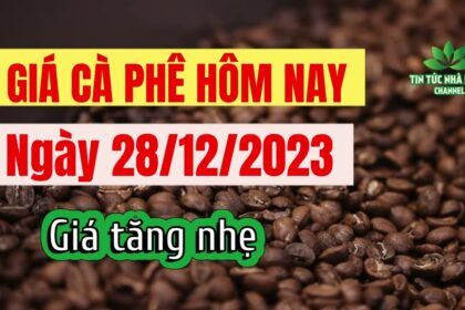 Vietnam coffee prices December 28, 2023
