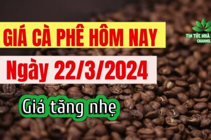 Vietnam coffee prices March 22, 2024