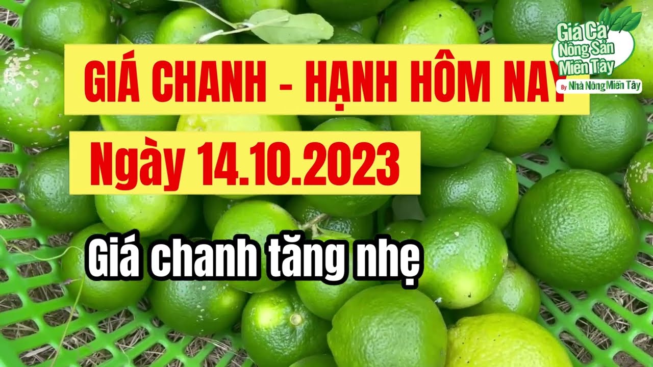 lime prices October 14, 2023