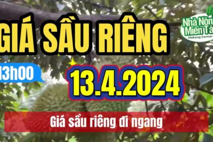 Vietnam durian prices April 13, 2024