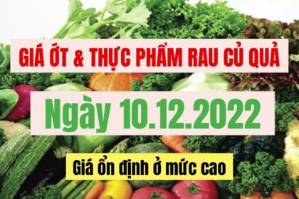 vegetables, fruits and food price December 10, 2022