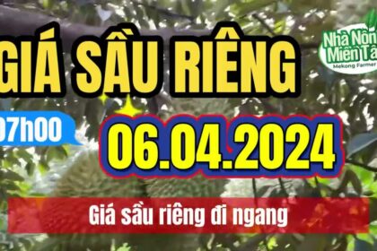 Vietnam durian prices April 6, 2024