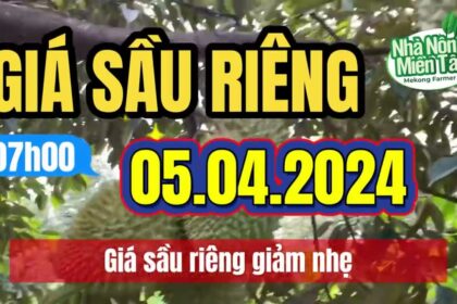 Vietnam durian prices April 5, 2024