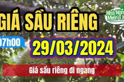 Vietnam durian prices March 29, 2024