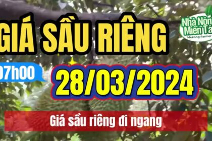 Vietnam durian prices March 28, 2024