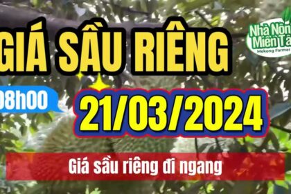 Vietnam durian prices March 21, 2024