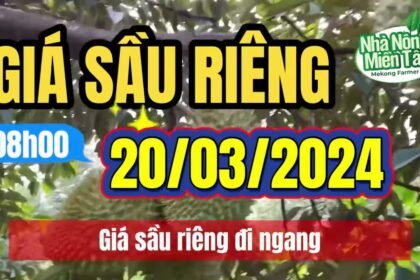 Vietnam durian prices March 20, 2024