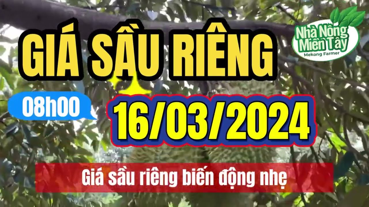 Vietnam durian prices March 16, 2024