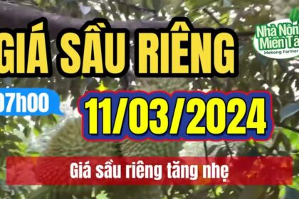Vietnam durian prices March 11, 2024