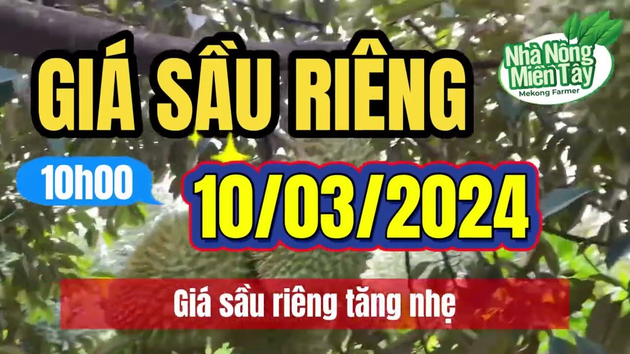 Vietnam durian prices March 10, 2024