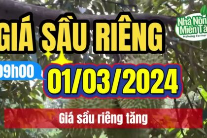 Vietnam durian prices March 1, 2024