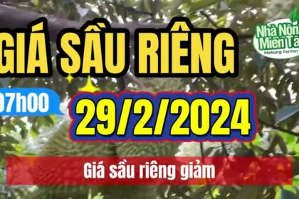 Vietnam durian prices February 29, 2024