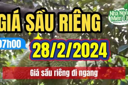 Vietnam durian prices February 28, 2024