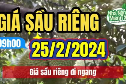 Vietnam durian prices February 25, 2024