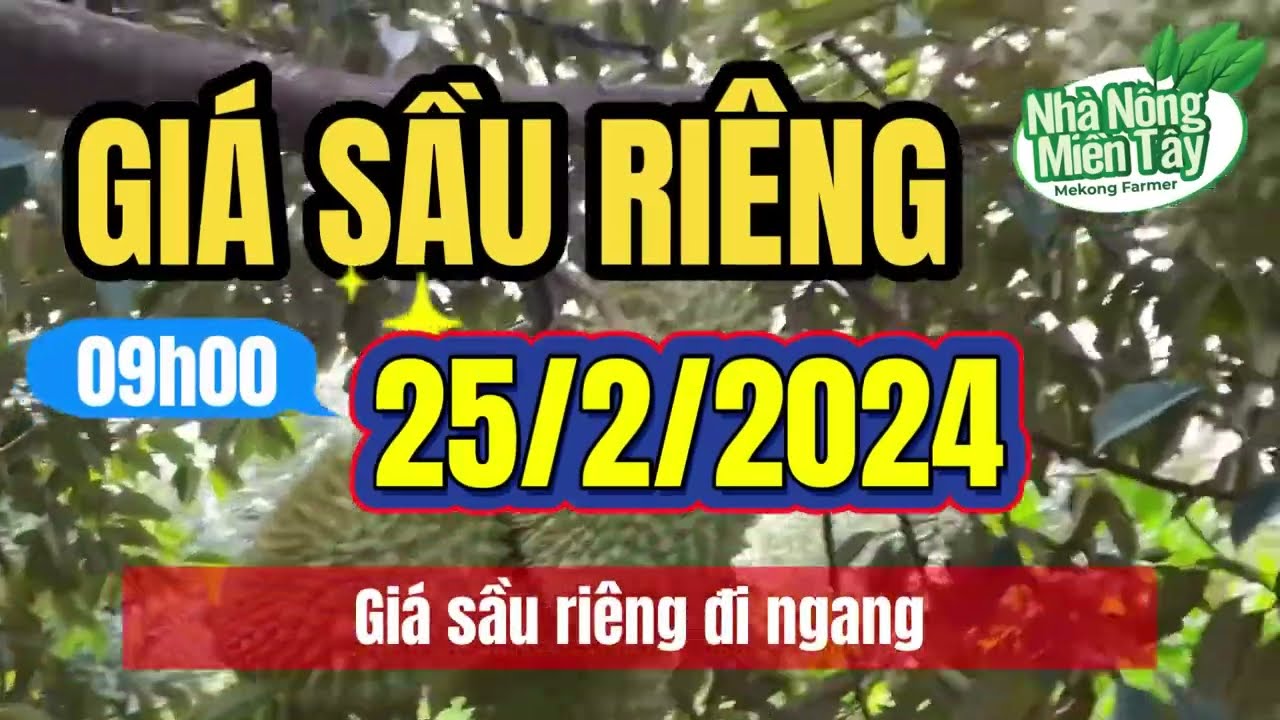 Vietnam durian prices February 25, 2024