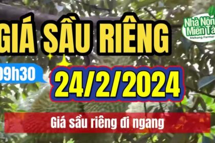 Vietnam durian prices February 24, 2024