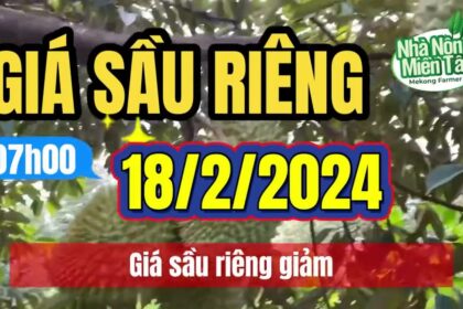 Vietnam durian prices February 18, 2024