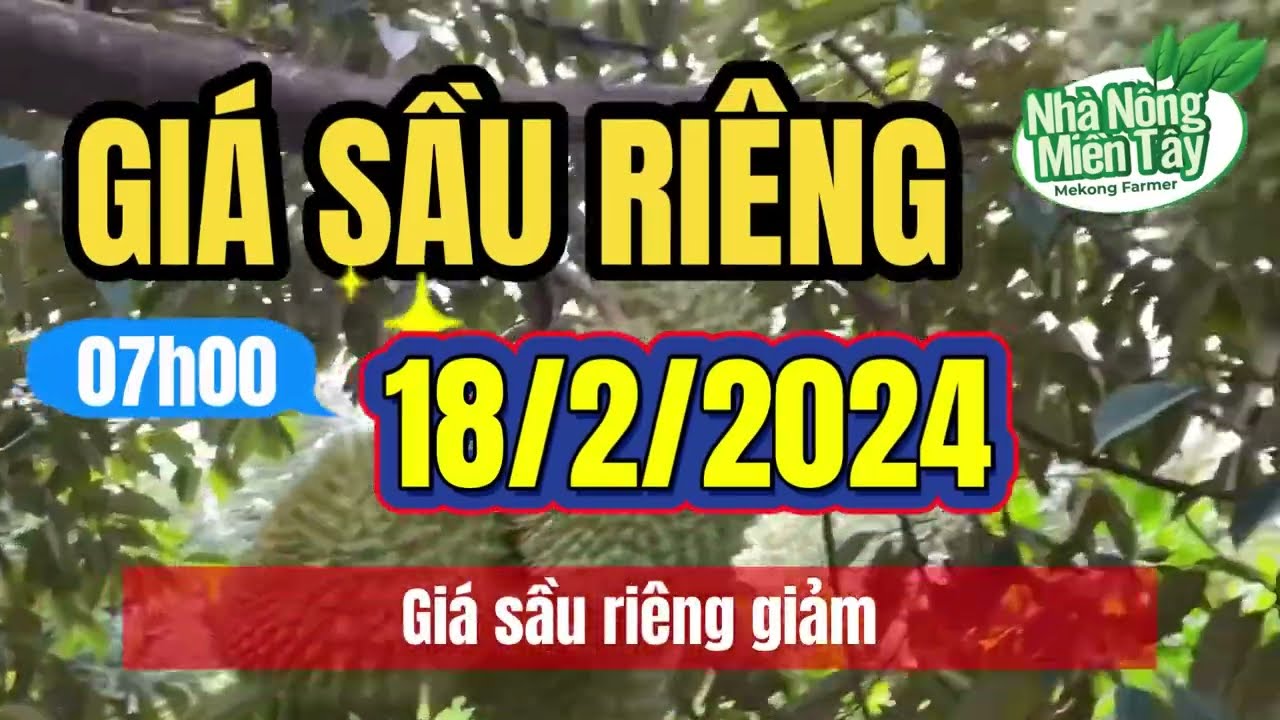 Vietnam durian prices February 18, 2024