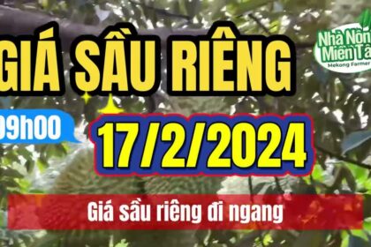 Vietnam durian prices February 17, 2024
