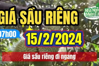 Vietnam durian prices February 15, 2024