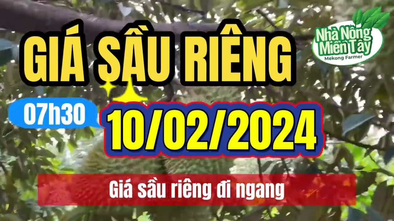 Vietnam durian prices February 10, 2024