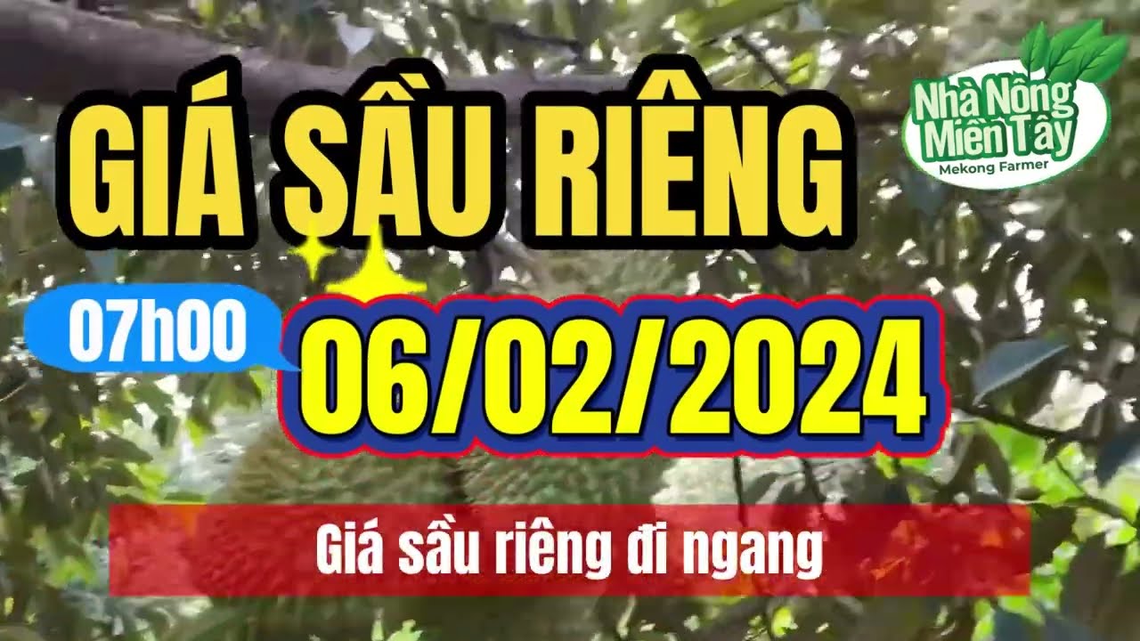 Vietnam durian prices February 6, 2024