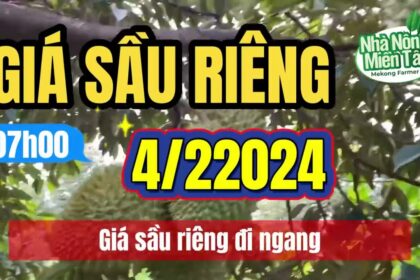 Vietnam durian prices February 4, 2024