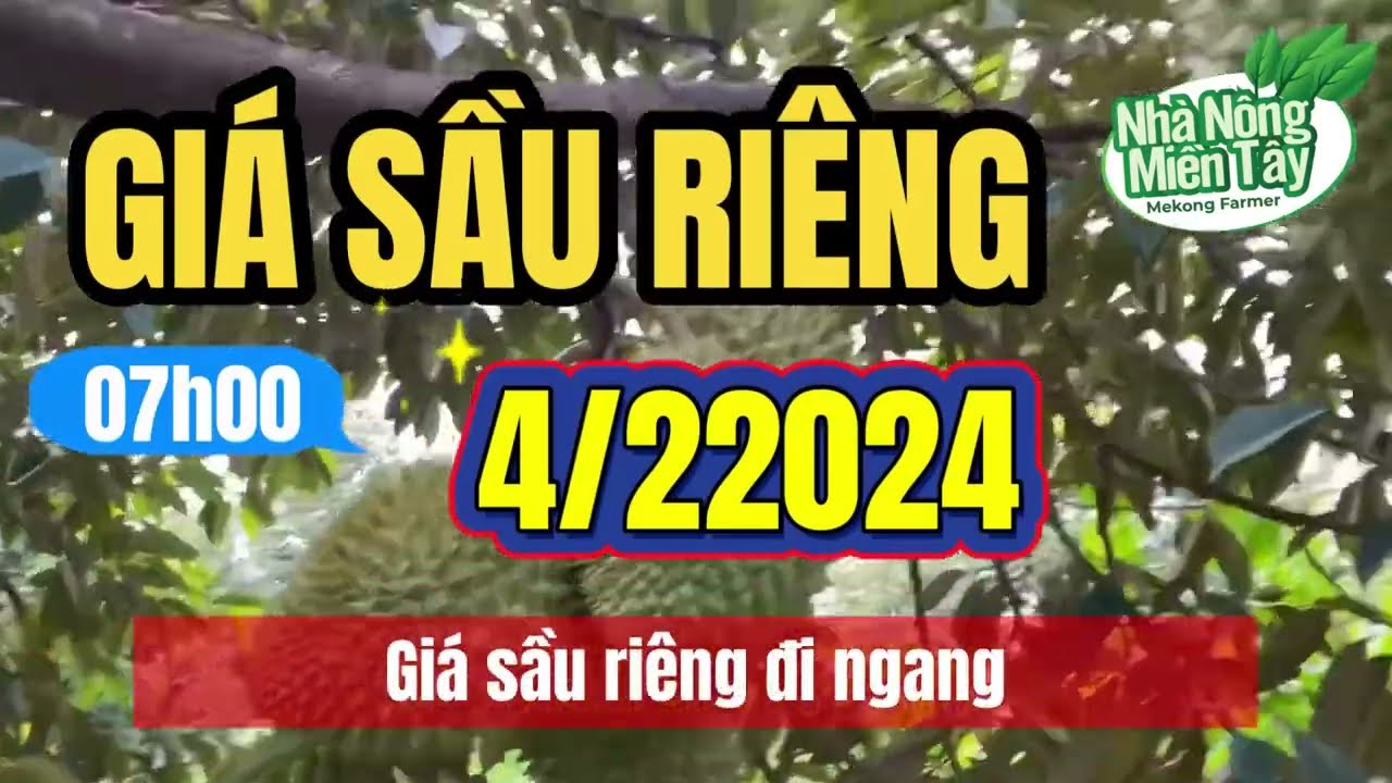 Vietnam durian prices February 4, 2024