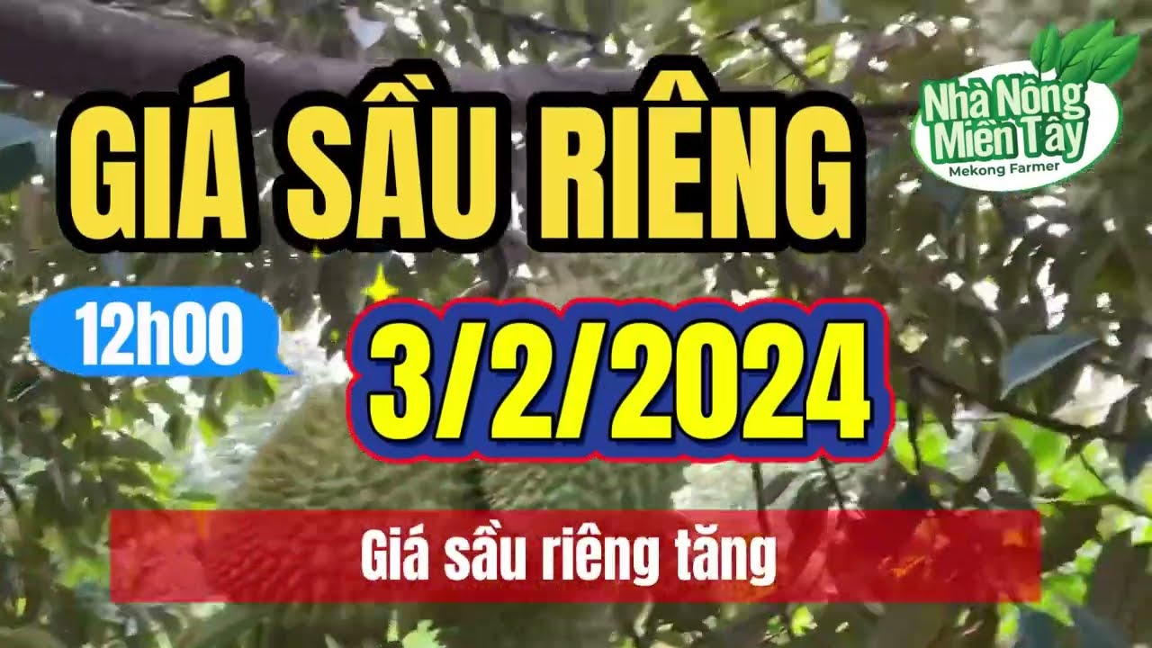 Vietnam durian prices February 3, 2024