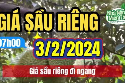 Vietnam durian prices February 3, 2024