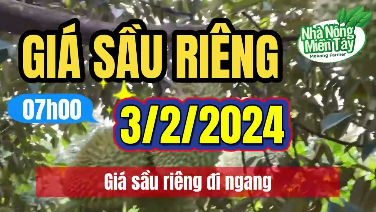 Vietnam durian prices February 3, 2024