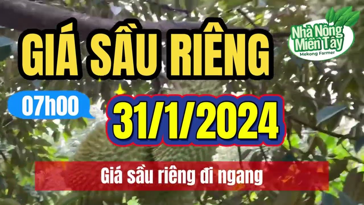 Vietnam durian prices January 31, 2024